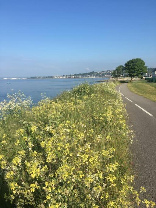 Agreable Maison Meublee Cherbourg-en-Cotentin Buitenkant foto